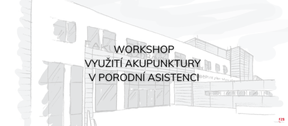 Workshop „Využití akupunktury v porodní asistenci“