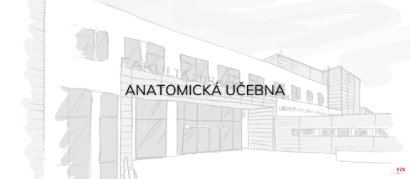 Důležité upozornění pro studenty